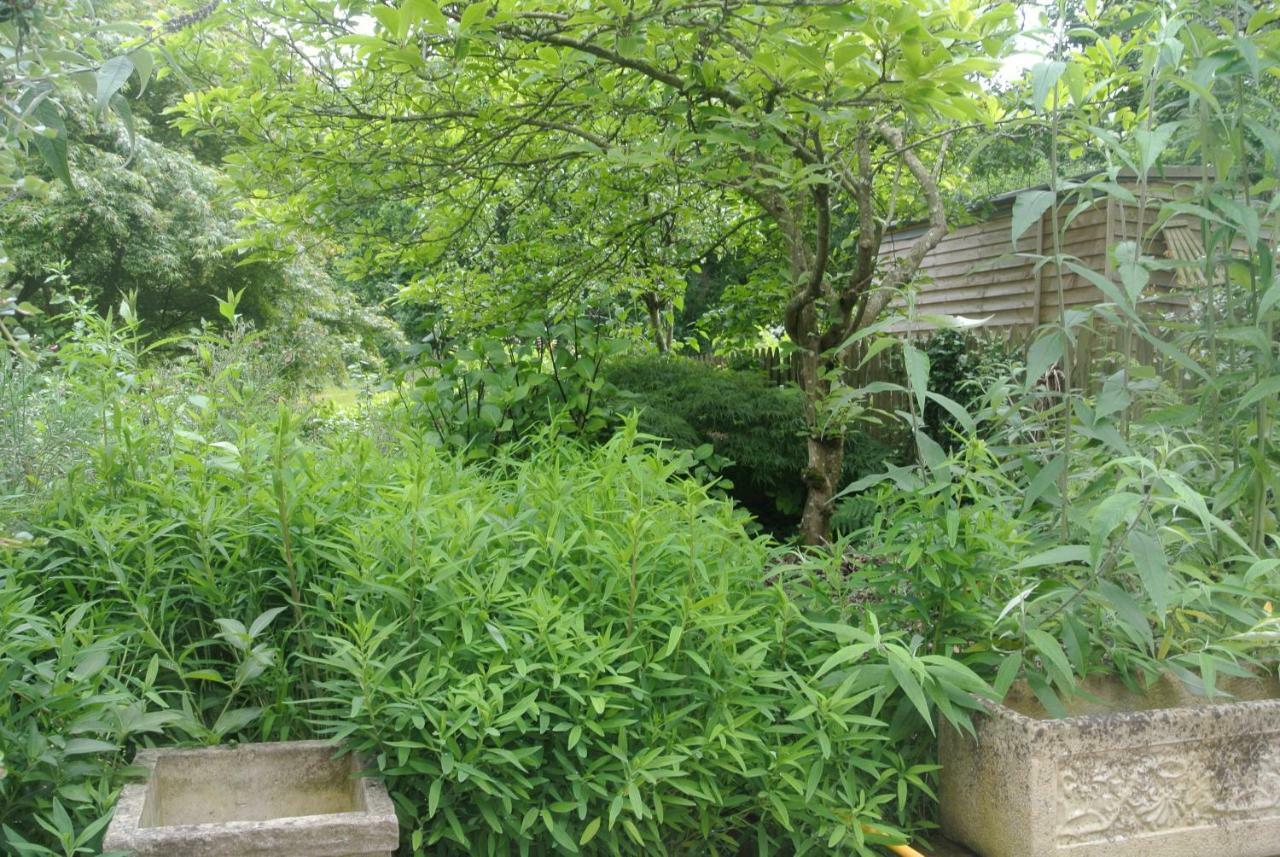 Higher Brockwell Annexe Appartamento *